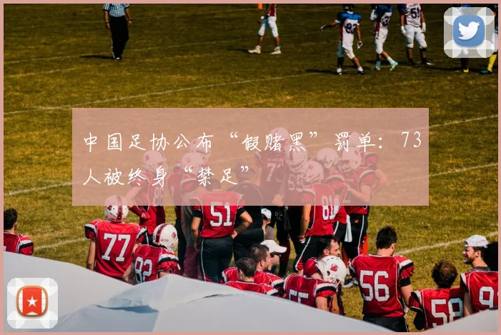 中国足协公布“假赌黑”罚单：73人被终身“禁足”
